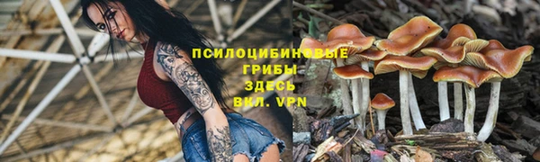 кристаллы Верея