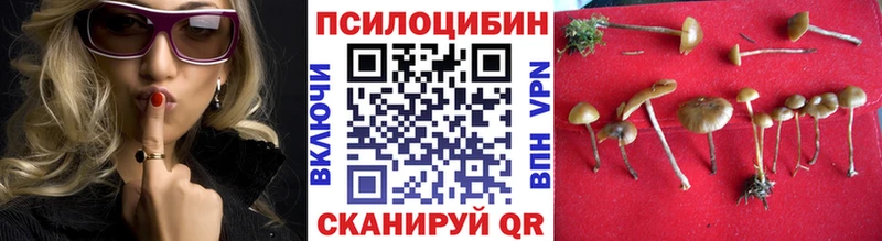 Галлюциногенные грибы мицелий  kraken сайт  Энгельс 